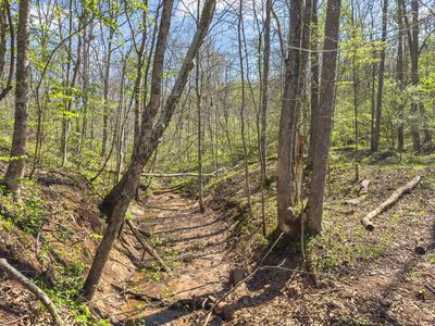 5235 Pounds Rd, Chesterhill, OH, 43728