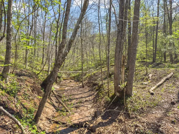 5235 Pounds Rd, Chesterhill, OH 43728