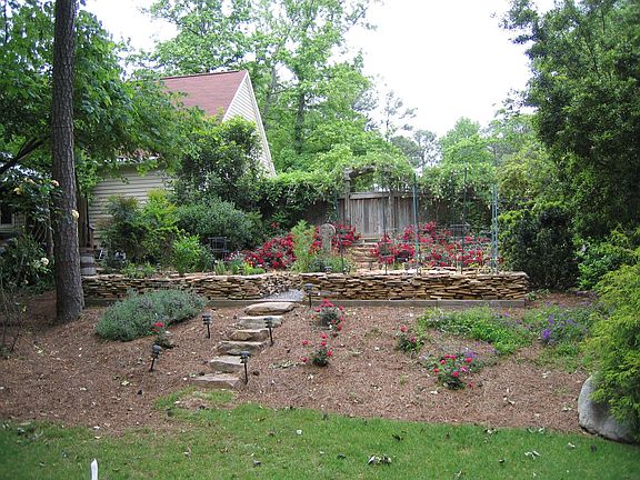 More of the back Garden