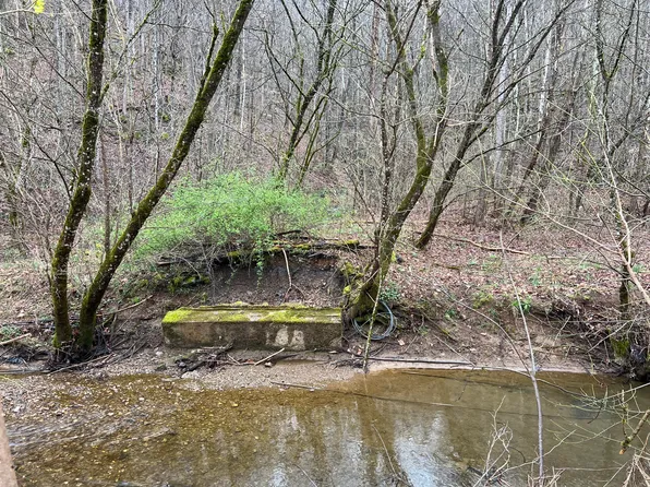 0 Fairview Rd, Duffield, VA 24244