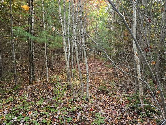 2nd image of 46-S-5-G G.H Lord Road