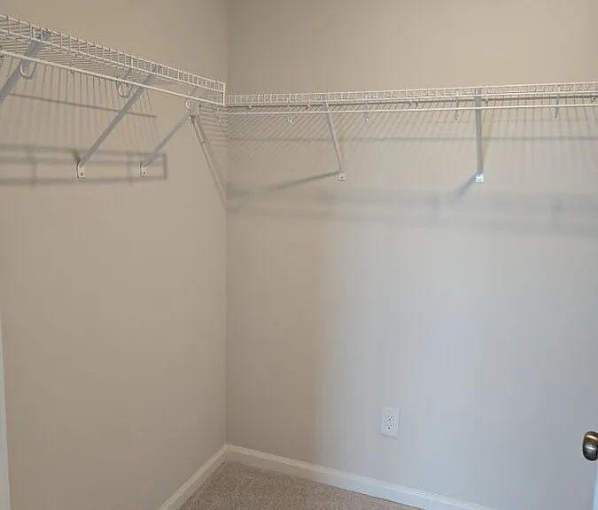 466 Carolina Springs Blvd — Photo 18