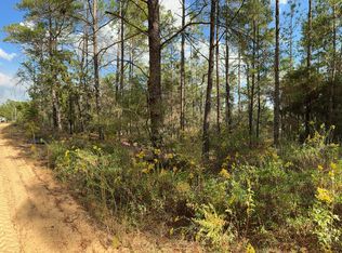 29 Clearwater Dr, Defuniak Springs, FL 32433