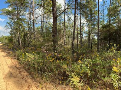 29 Clearwater Dr, Defuniak Springs, FL, 32433