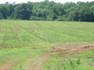 468 Croxton Cross Rd, Smithville, GA 31787