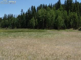 702 Lake Dr, Divide, CO 80814