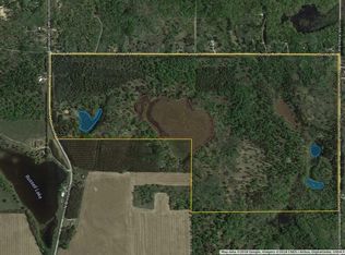 N Brinton Rd, Lake, MI 48632