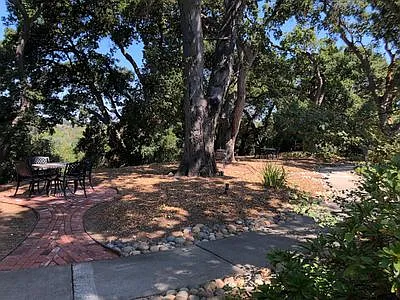 Live Oak Apartments — Photo 88