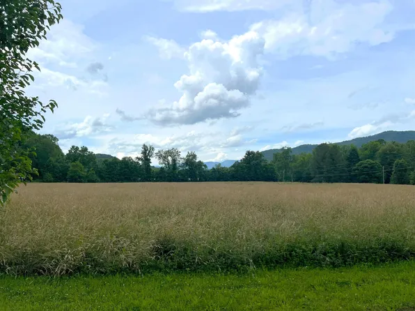 Par 130.01 South Hwy #32, Cosby, TN 37722