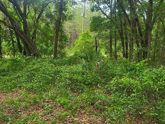 5th image of 869 COUNTY ROAD 308B