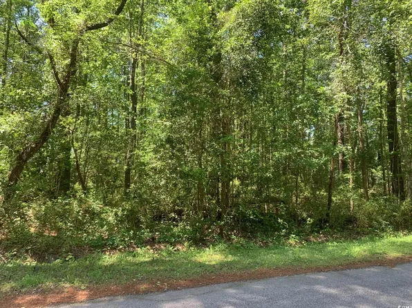 Lot 8 S Morgan Ave., Andrews, SC 29510