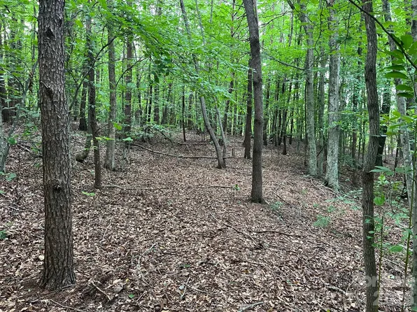 Moore Branch Rd, Nebo, NC 28761