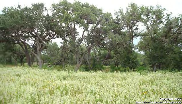 1st image of CR 308 , Off FM 2824