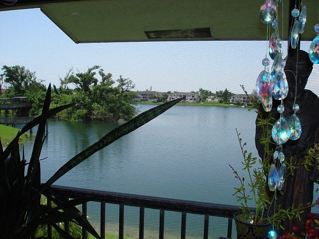 patio view