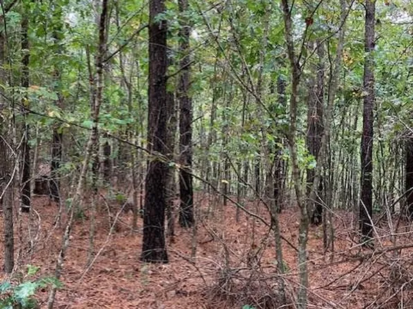 158 Madison St #410, Fredericktown, MO 63645