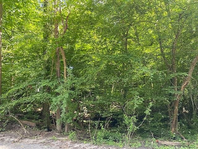 1st image of 0 Chrysler Dr Lot 87