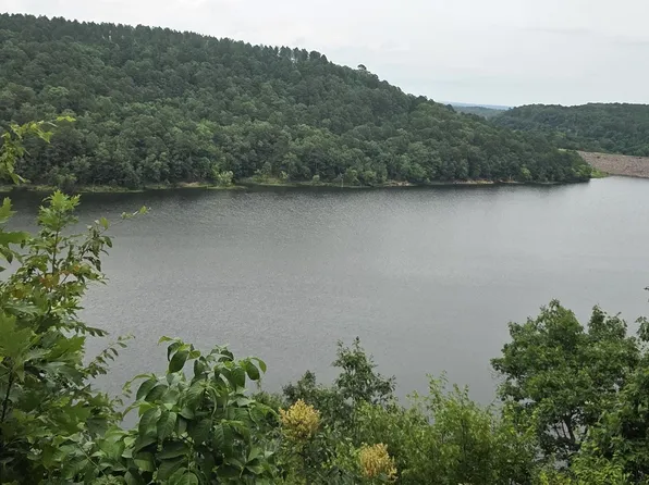23 Sylvia Finch Misty Mountain, Searcy, AR 72143