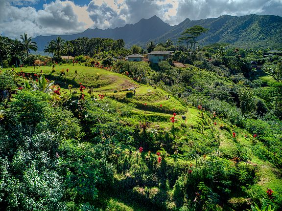 4th image of Halaulani Pl
