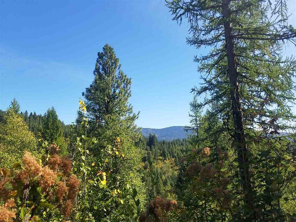 1st image of 12022 S Alpine Fern Ln