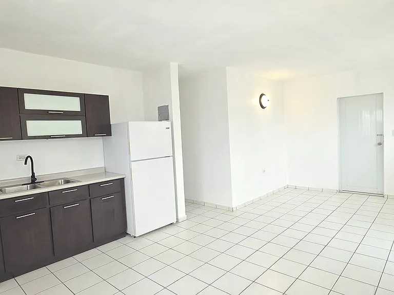 Kitchen, dining and living rooms with ample space and lighting to design your way.