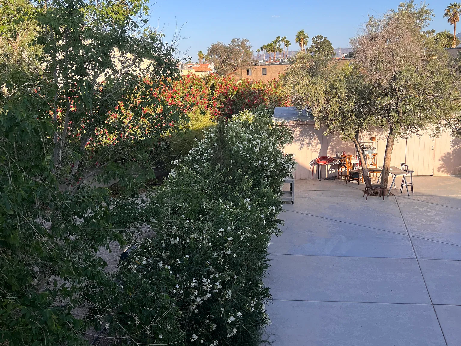 2 bed, 884 sqft, $1,365 — Photo 4