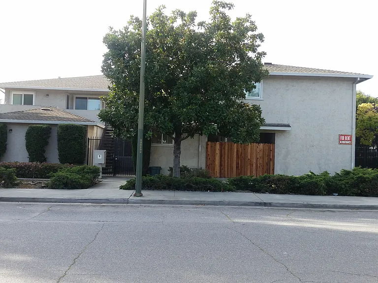 956 Paula St — Photo 3