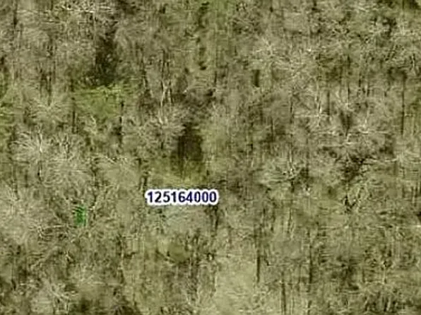 0 Oswald Ln Lot 8, Sandstone, MN 55072