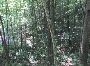 Robinhood Way, Bakersville, NC 28705