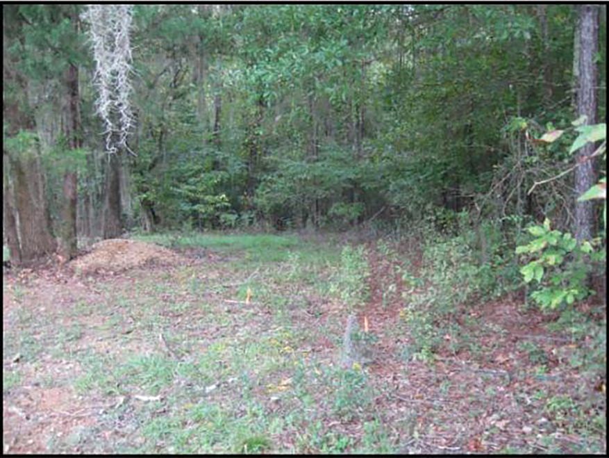 0 Magnolia Rd, Clinton, MS 39056 Zillow