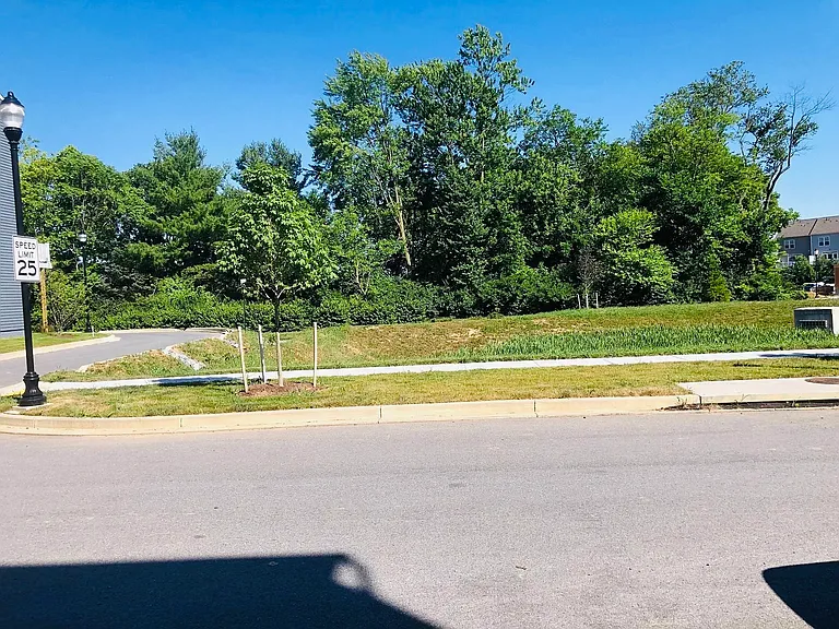3003 Osprey Way — Photo 3