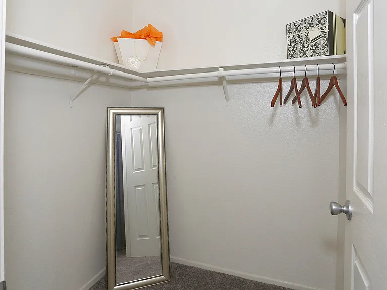 Walk in closet with mirror