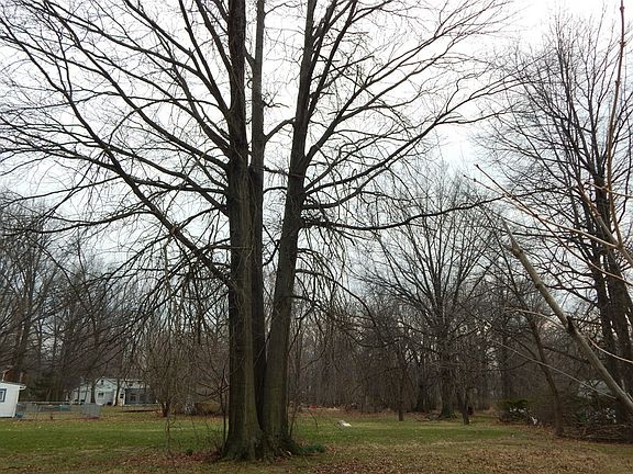 4th image of 680 Bryn Mawr Ave