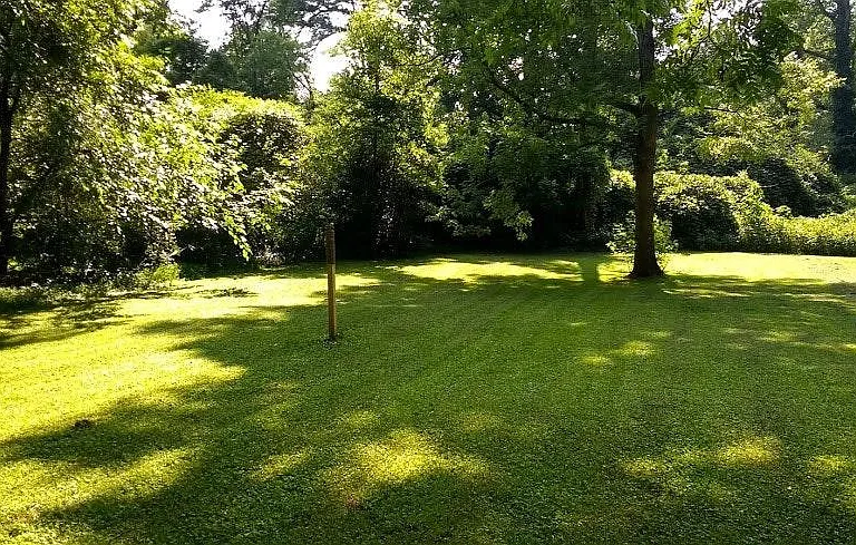 Spacious backyard for the kids to play in.