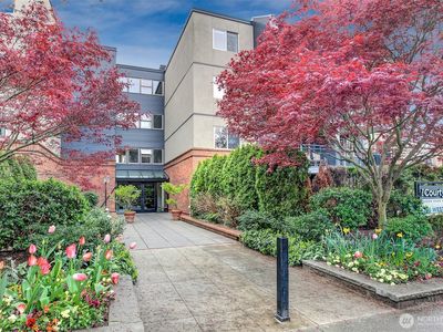 275 W Roy Street #119, Seattle, WA, 98119