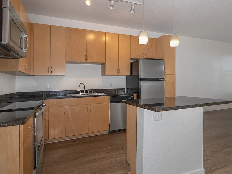 Kitchen and Living Area with Hard Surface Flooring