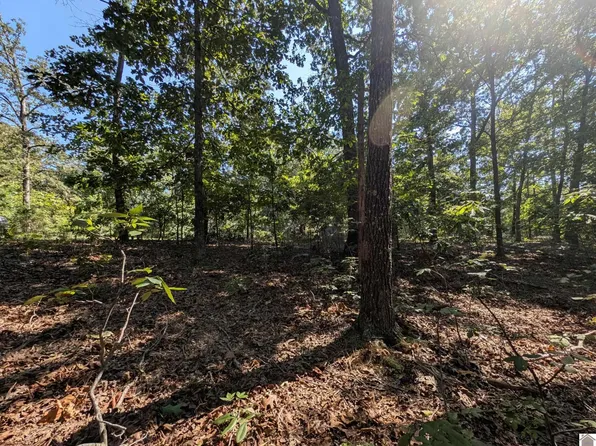 LOT 130 Eagle Look Ln, Murray, KY 42071