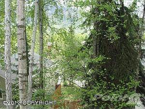 Looking out kitchen window