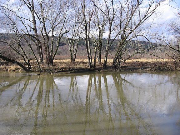 3rd image of 5087 County Road 32