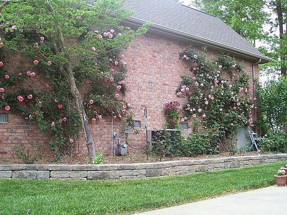 Rose Garden