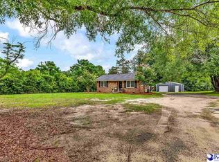 321 Mineral Springs Rd, Darlington, SC 29532