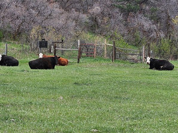 5230 Tall Horse Trail LOT 7, Sedalia, CO 80135