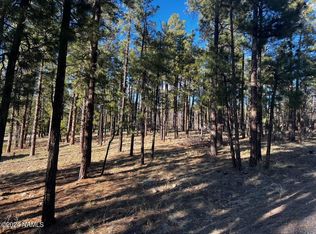 1021 Stone Hollow Loop LOT 2, Williams, AZ 86046