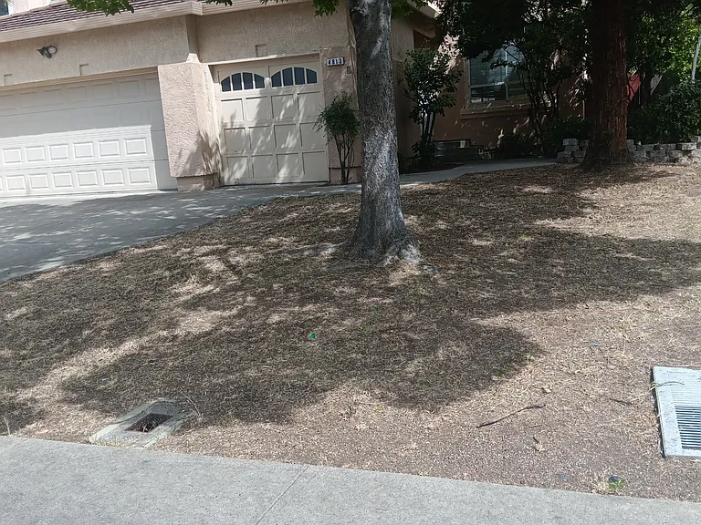 4813 Bridle Ct — Photo 29