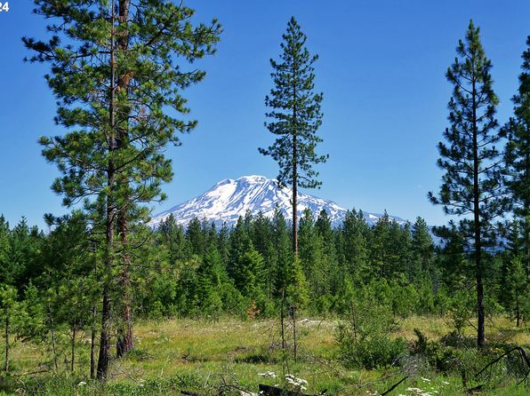 Byrkett Rd #2, Trout Lake, WA 98650