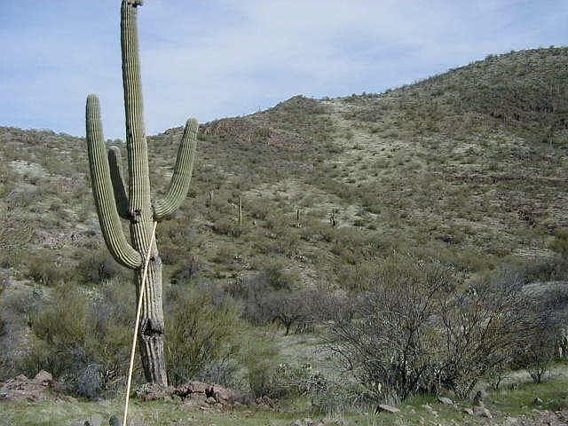 1st image of 0 N COW CREEK/LAKE PLEASANT Road #70