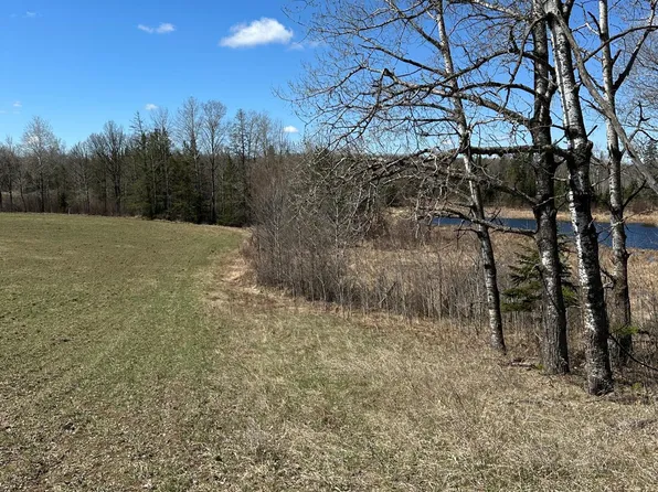 Ct Rd #307, Blackduck, MN 56630