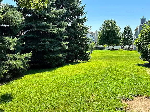 945 Forest View Way — Photo 2