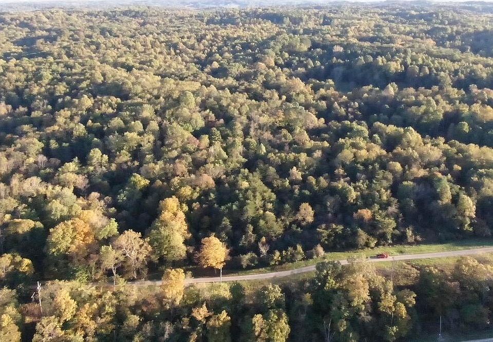 2nd image of 35539 Lehman Rd