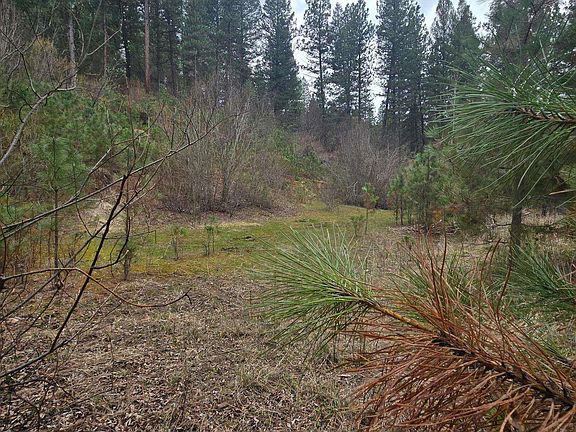 4th image of 39 Beaver Creek Rd