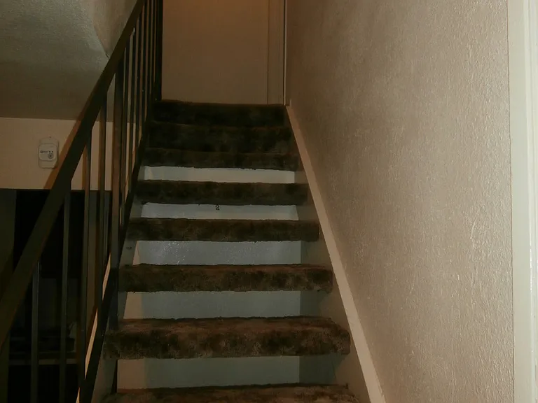 239 Sunnyhills Dr — Photo 9